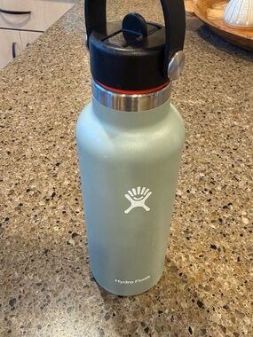 Hydro Flask Agave Stainless Steel Water Bottle with Black Lid